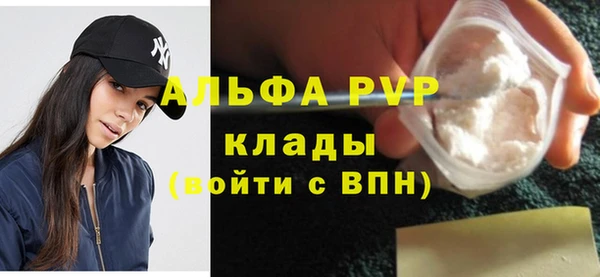 твердый Магас