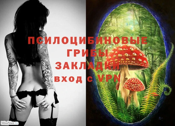 твердый Магас