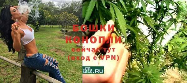 твердый Магас